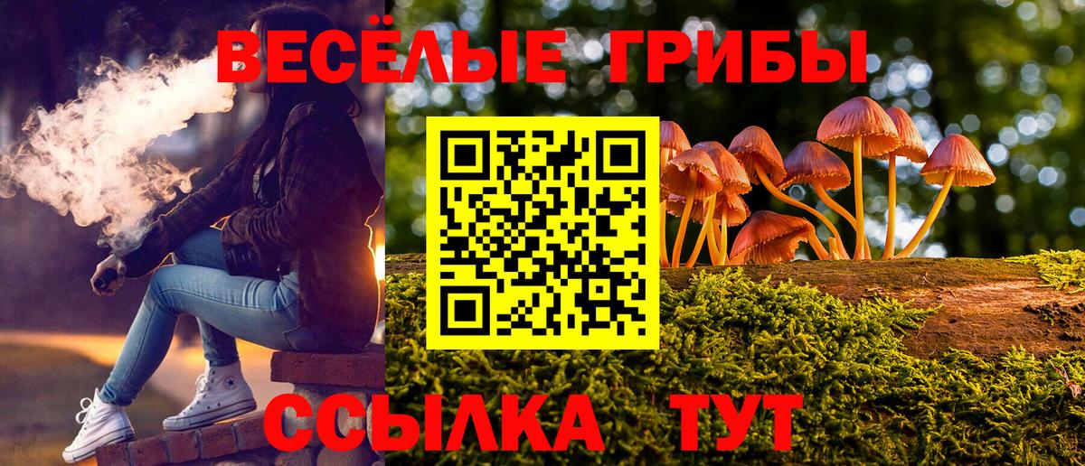 Галлюциногенные грибы MAGIC MUSHROOMS  Галлюциногенные грибы MAGIC MUSHROOMS  Городец  Вход с VPN 
