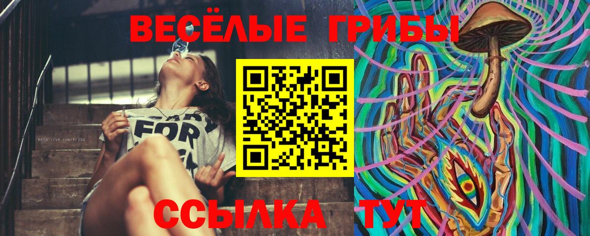 Псилоцибиновые грибы Cubensis Городец